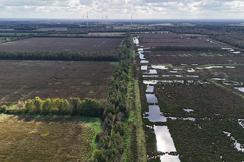 Grotmoor Schleswig-Holstein